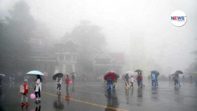 Heavy Rainfall Shimla