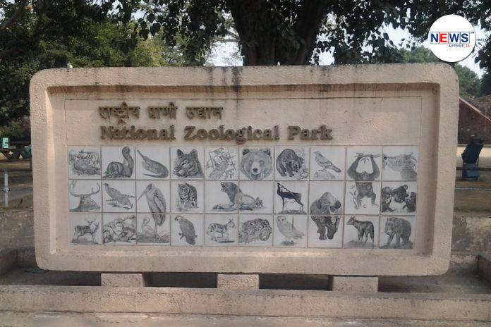 Delhi Zoo